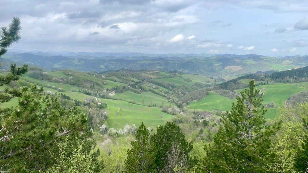 This image has an empty alt attribute; its file name is 3087a671-affa-4517-917a-7b8dbc498b38-1.jpg