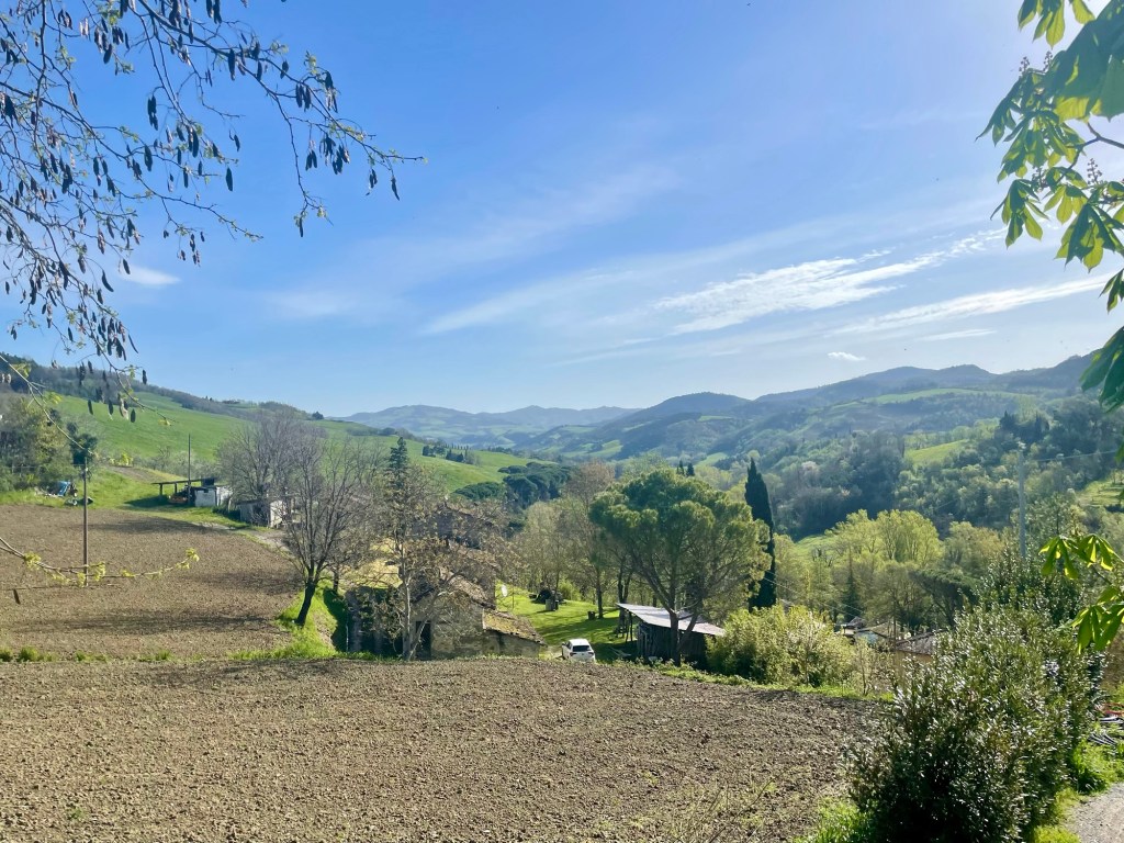 This image has an empty alt attribute; its file name is img_6962.jpg