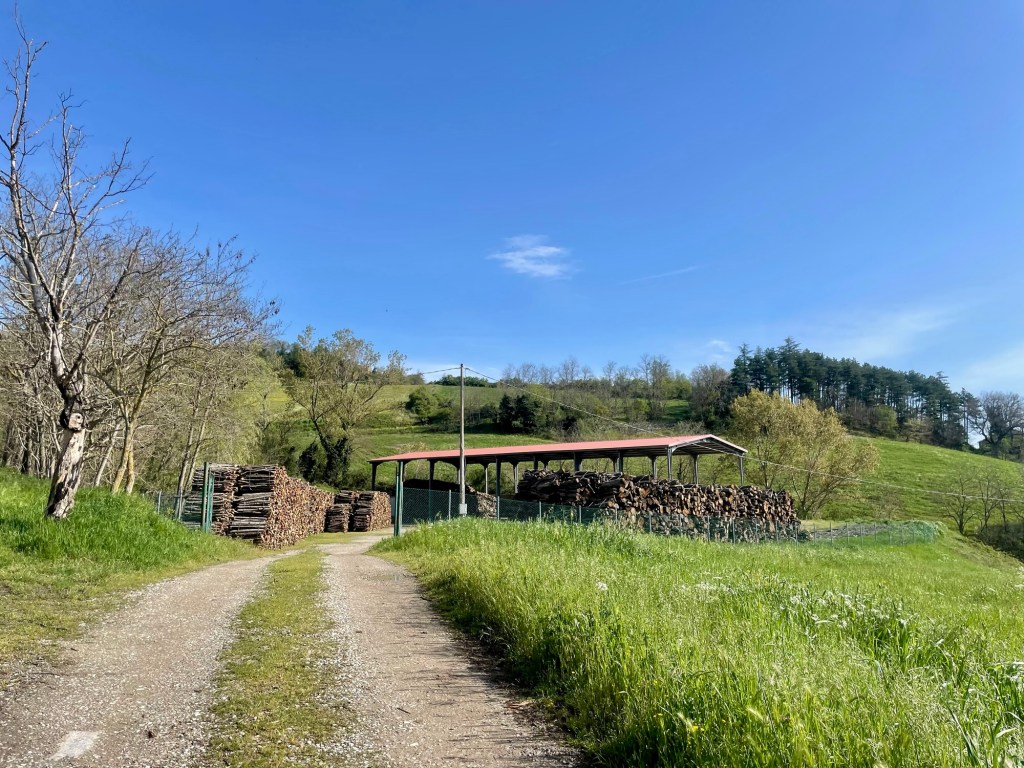 This image has an empty alt attribute; its file name is img_6964.jpg