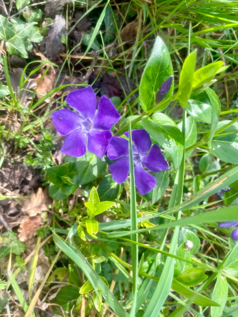 This image has an empty alt attribute; its file name is img_6994.jpg