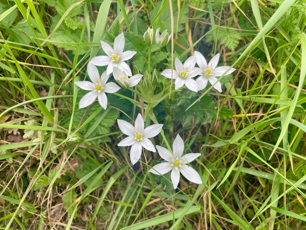 This image has an empty alt attribute; its file name is img_7011.jpg