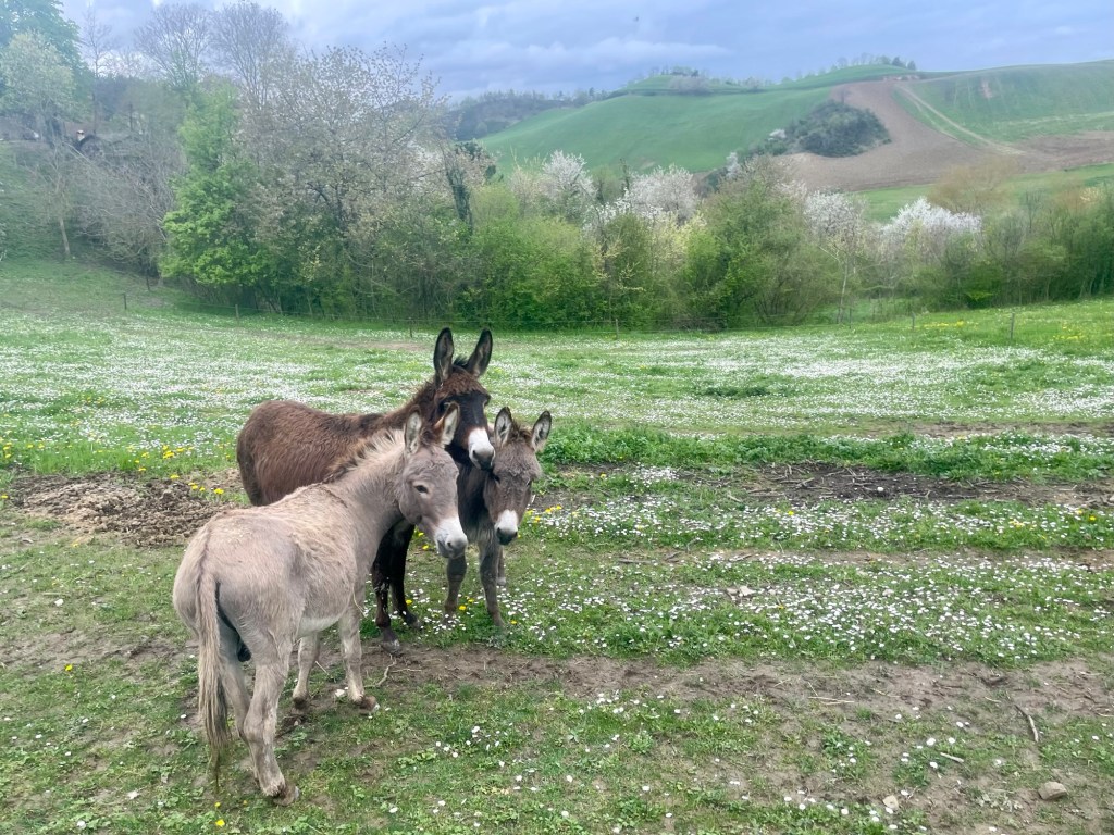 This image has an empty alt attribute; its file name is img_7028.jpg