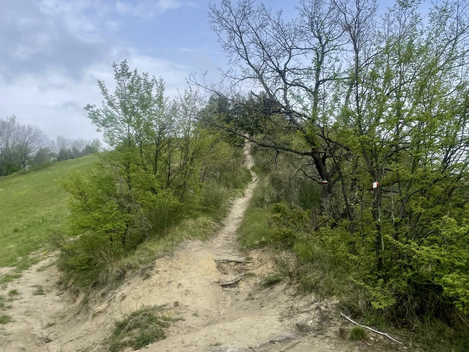 This image has an empty alt attribute; its file name is img_7047-edited.jpg